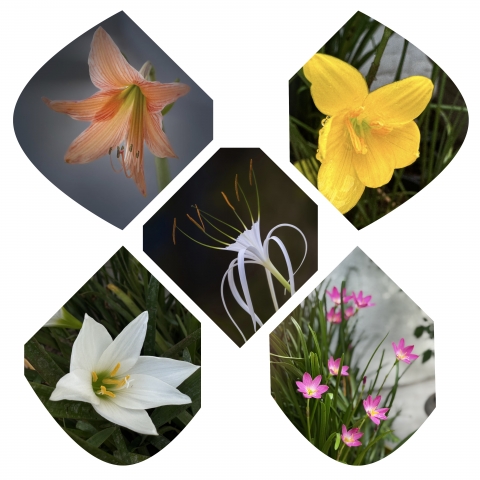 collage_export_12541346-35c4-45cd-996a-10f7fbcc27dd.jpeg